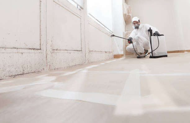 24/7 Emergency Attic Mold Removal experts in Canton, PA